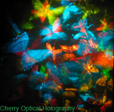 Cherry Optical Holography Butterfly Hologram blue view by nancy Gorglione & greg Cherry